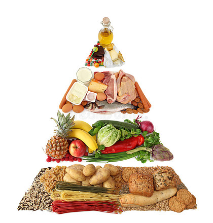 【营养级金字塔】图片免费下载_营养级金字塔素材_营养级金字塔